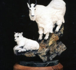 Nac Mountain Goats089